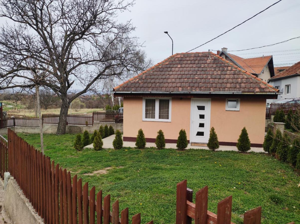 Apartmani Trajkovic 索科矿泉村 外观 照片